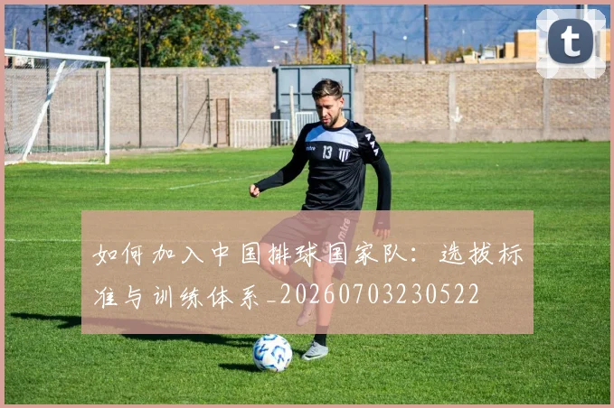 如何加入中国排球国家队:选拔标准与训练体系_20260703230522
