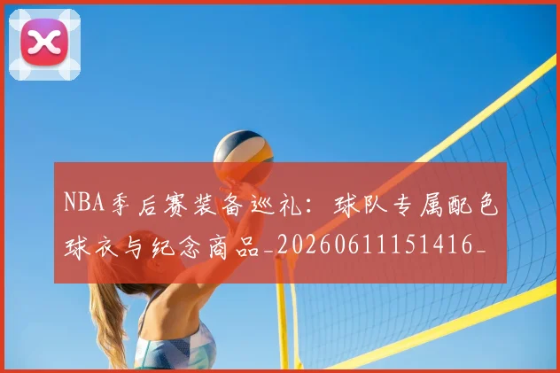 NBA季后赛装备巡礼:球队专属配色球衣与纪念商品_20260611151416_20260702165656