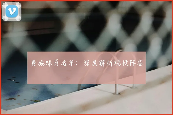 曼城球员名单:深度解析现役阵容